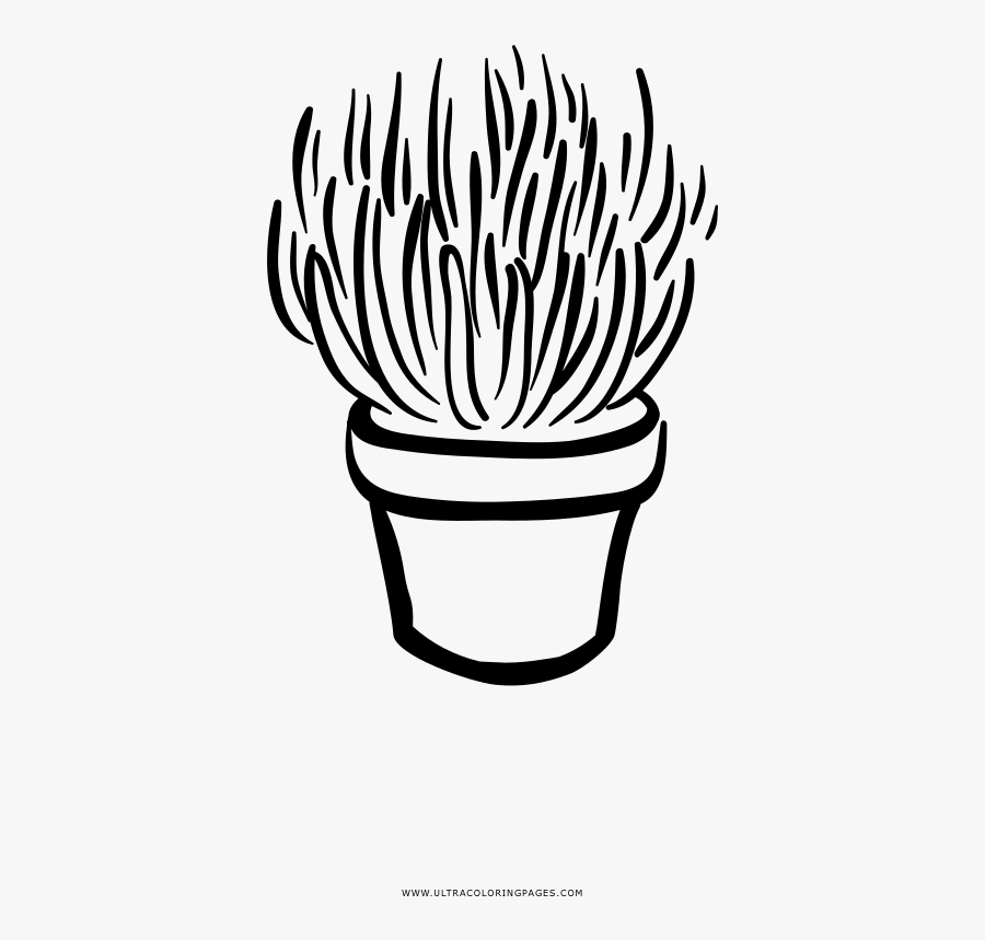 Succulent Coloring Page - Clip Art, Transparent Clipart