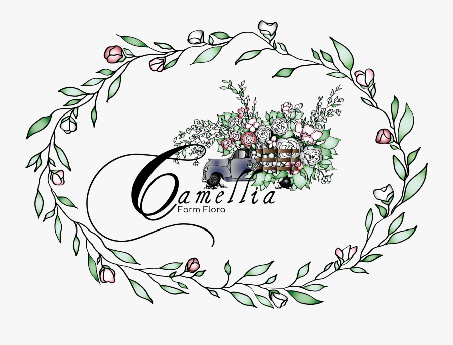 Camellia Farm Flora - Illustration, Transparent Clipart