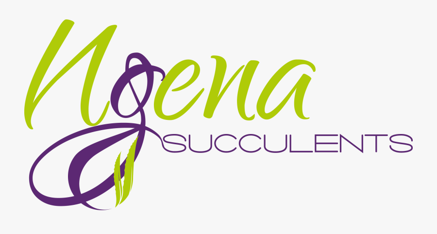 Graphic Design, Transparent Clipart