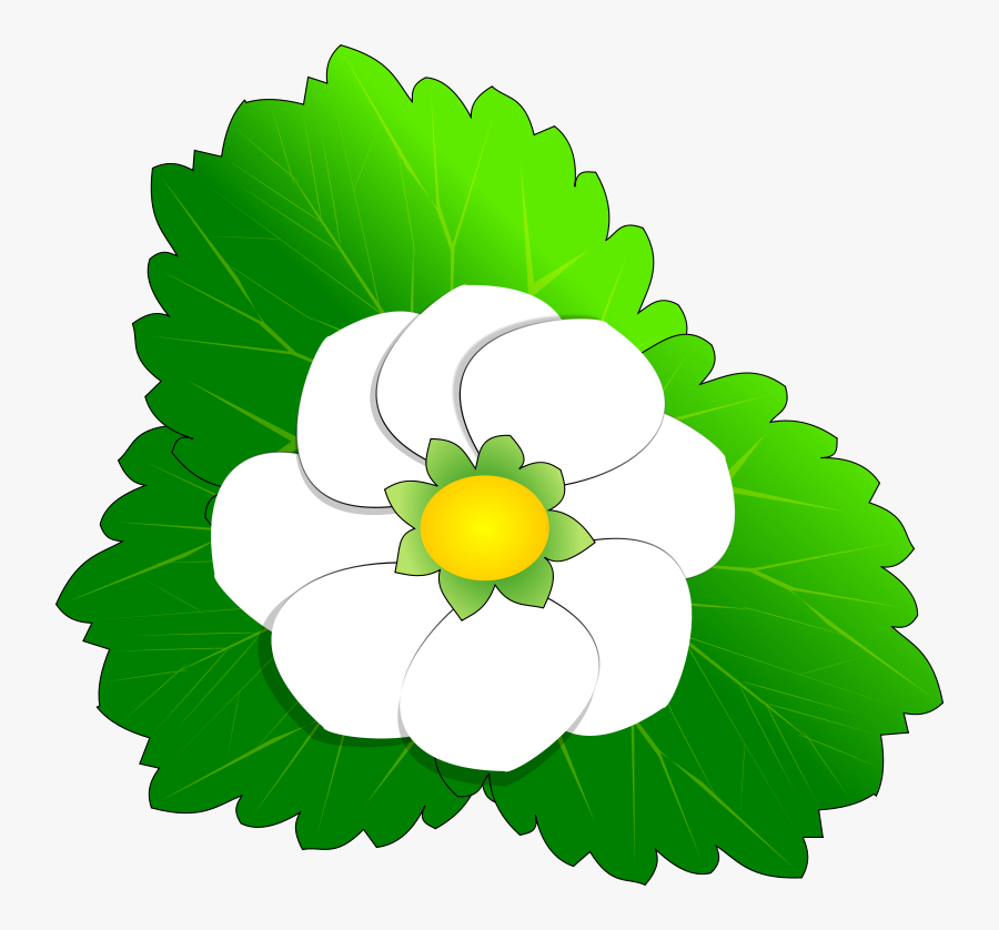 Free Vector Strawberry Flower Clip Art - Flower Clip Art, Transparent Clipart