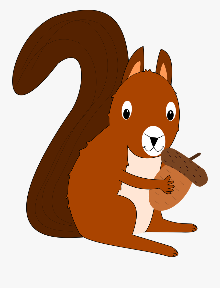 Squirrel Acorn Forest Animal Free Picture - กระรอก Png, Transparent Clipart