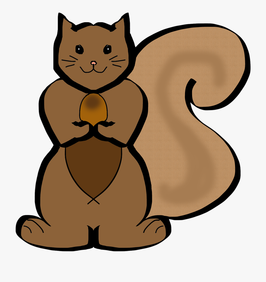 Squirrel, Forest, Animals, Trees, Drawing - Squirrel, Transparent Clipart