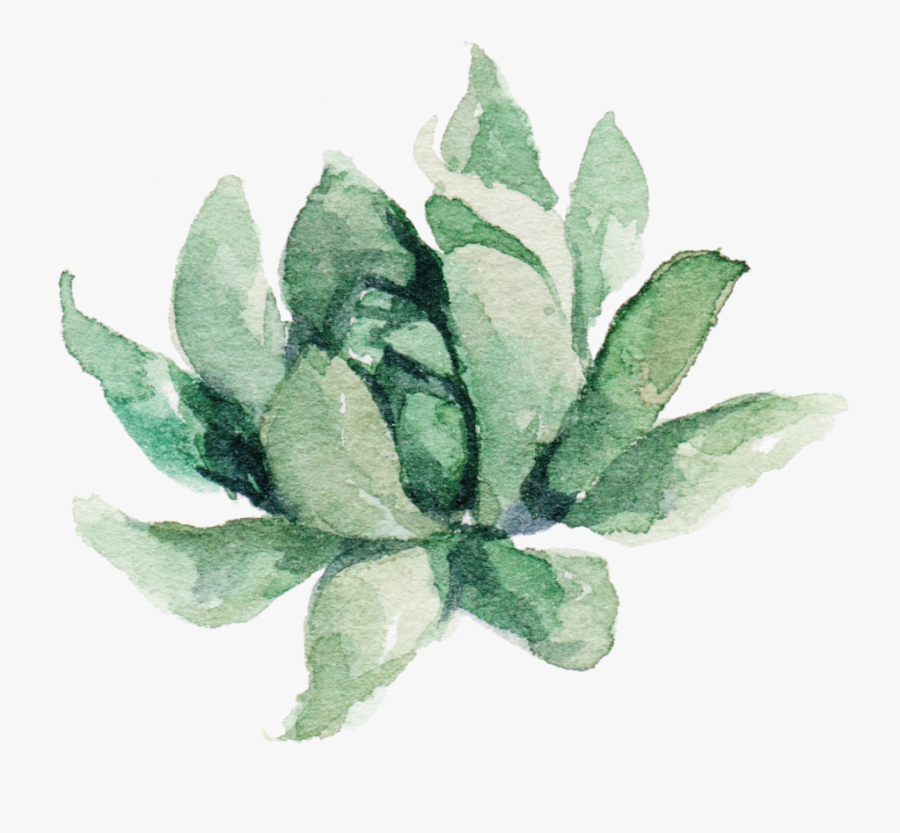 Clipart Free Transparent Succulent Watercolor - Transparent Succulent Clipart, Transparent Clipart