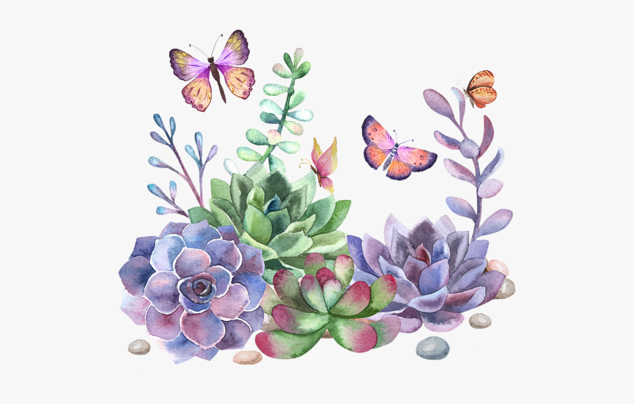 Succulent Plant, Transparent Clipart