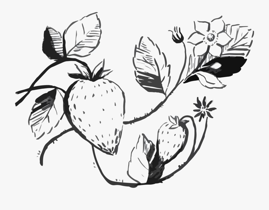 Illustration, Transparent Clipart