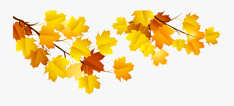 Transparent Autumn Clipart - Fall Tree Branches Clip Art, Transparent Clipart