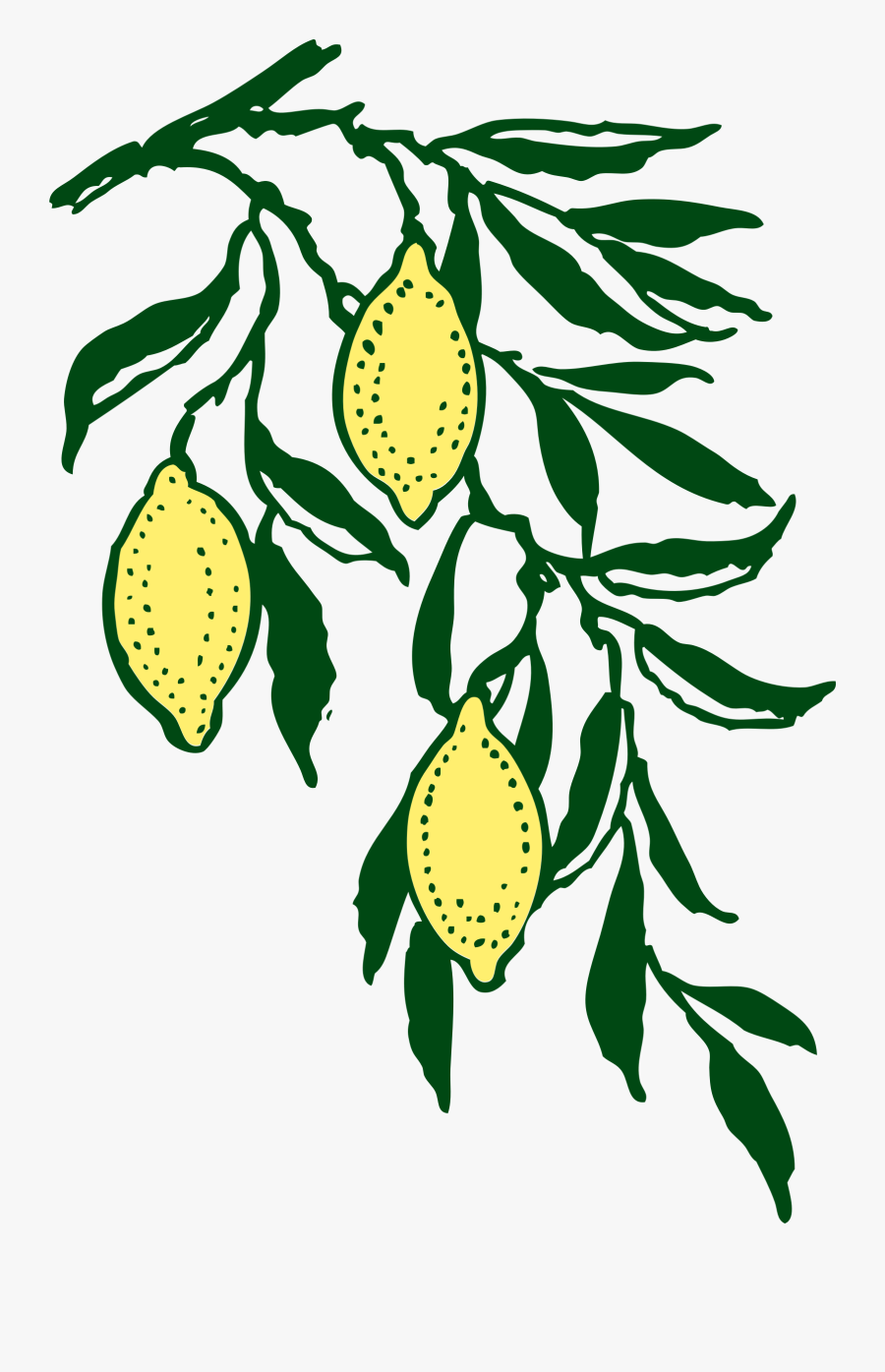Onlinelabels Clip Art - Cartoon Lemon Branch, Transparent Clipart