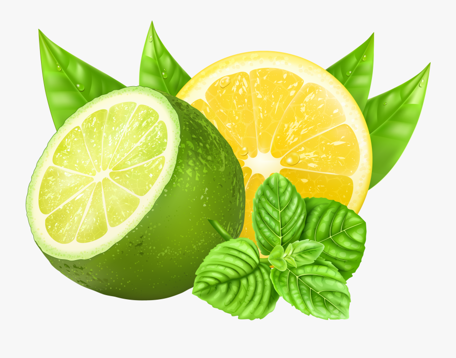 Transparent Lemon Slice Png - Lemon Green And Yellow, Transparent Clipart