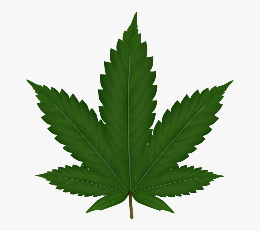 Weed Png, Transparent Clipart