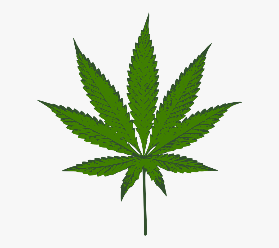 Marijuana Leaf Clipart, Transparent Clipart