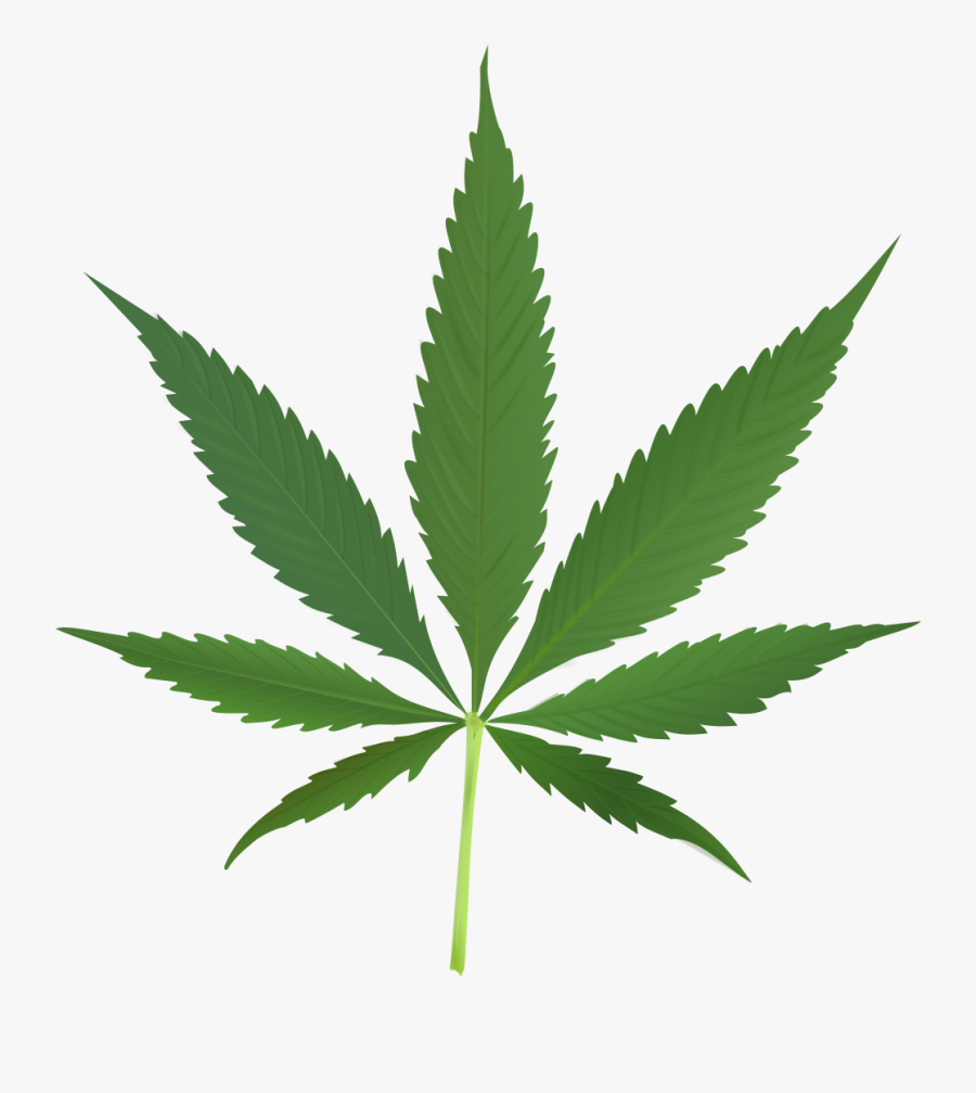 Weed - Tumblr - Cannabis Leaf, Transparent Clipart