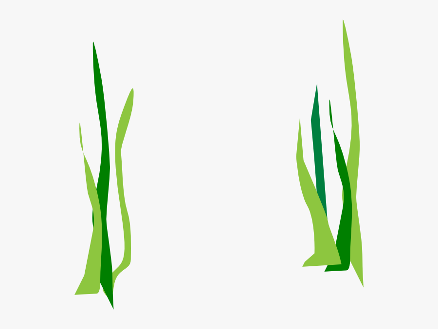 Green Reeds Clip Art - Transparent Background Seaweed Clip Art, Transparent Clipart