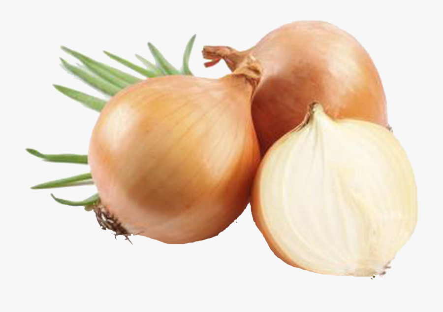 Onion Png Background Clipart - Yellow Onions, Transparent Clipart