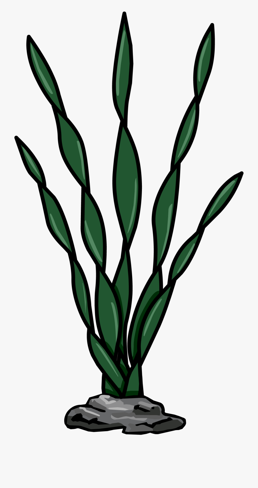 Weed Under Sea Clipart - Algas De Mar Png, Transparent Clipart