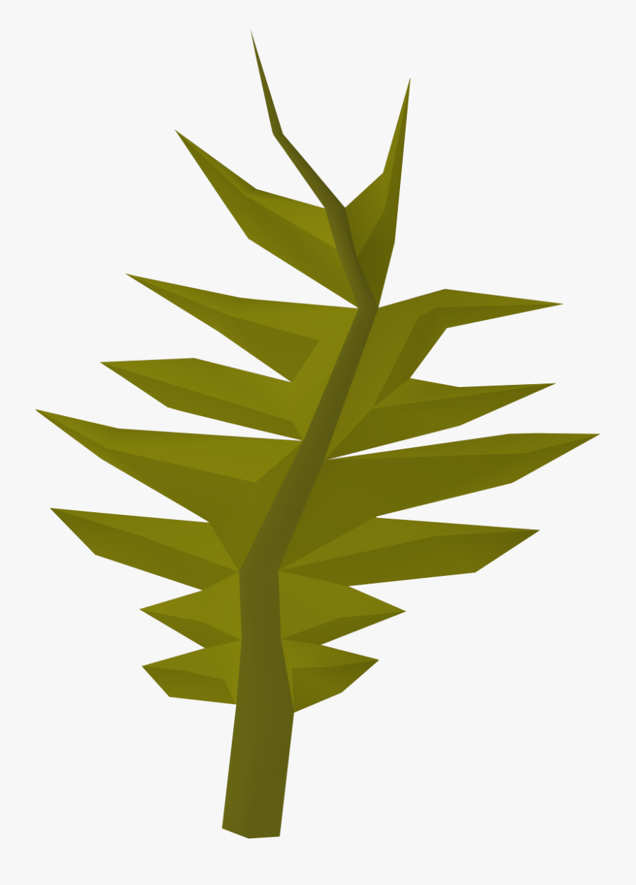 Swamp Weed - Illustration, Transparent Clipart