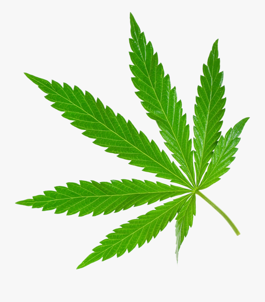 Best Free Cannabis Icon Clipart - Cannabis Png, Transparent Clipart