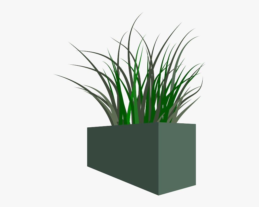 Pot Of Grass Png, Transparent Clipart