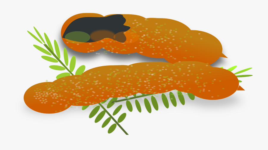 Sour Foods Clipart, Transparent Clipart