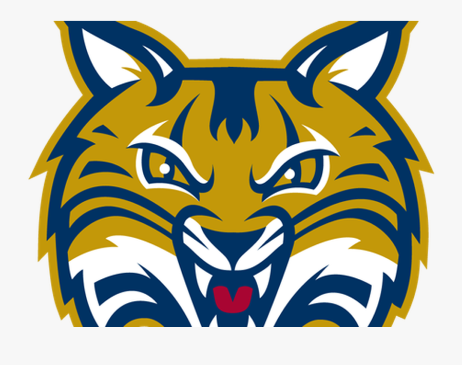 Bobcat Clipart Scared - Bobcat Quinnipiac, Transparent Clipart