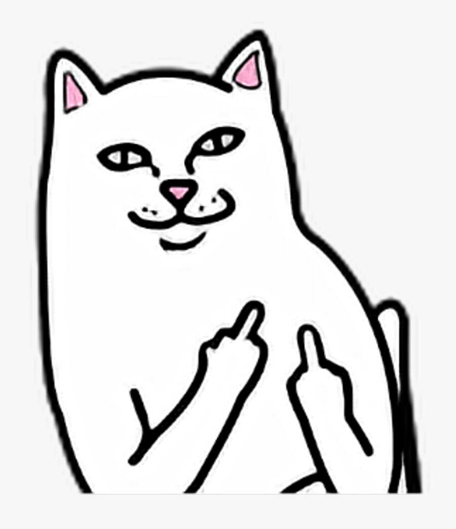 Cat White Fuck You Off Fuckyou Fuckoff Middle Finger - White Cat Fuck You, Transparent Clipart