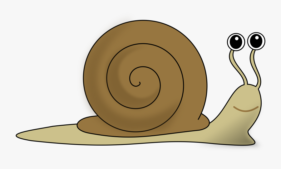 Snail Clipart, Transparent Clipart