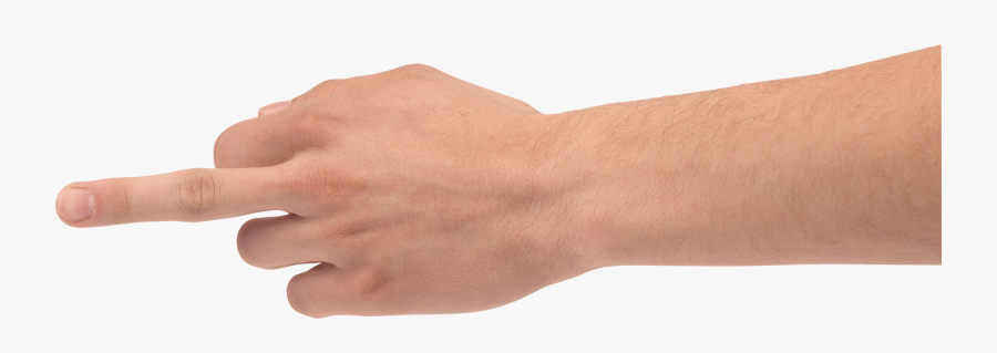 Hand Png, Transparent Clipart