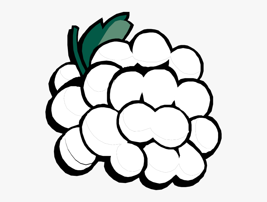Transparent Grapes Png - Green Grapes Clipart, Transparent Clipart