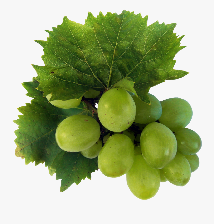 Grape, Transparent Clipart