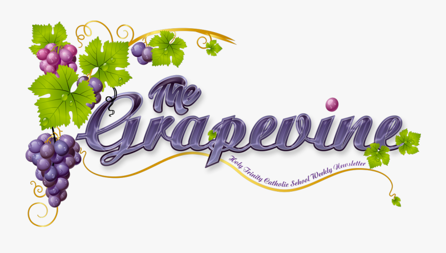 Transparent Background Grape Images Clip Art - Grape Border Clip Art, Transparent Clipart