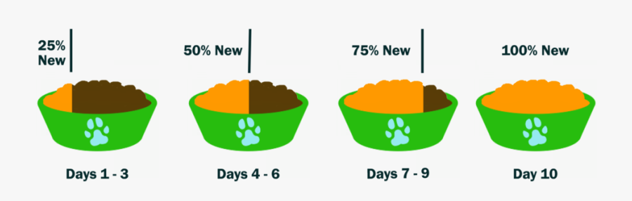 Transition Into New Dog Food, Transparent Clipart