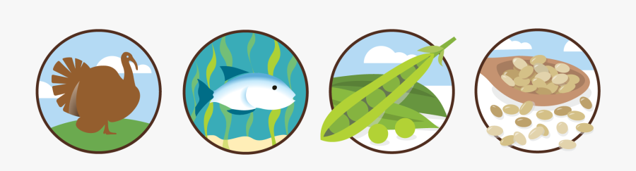 Illustration, Transparent Clipart