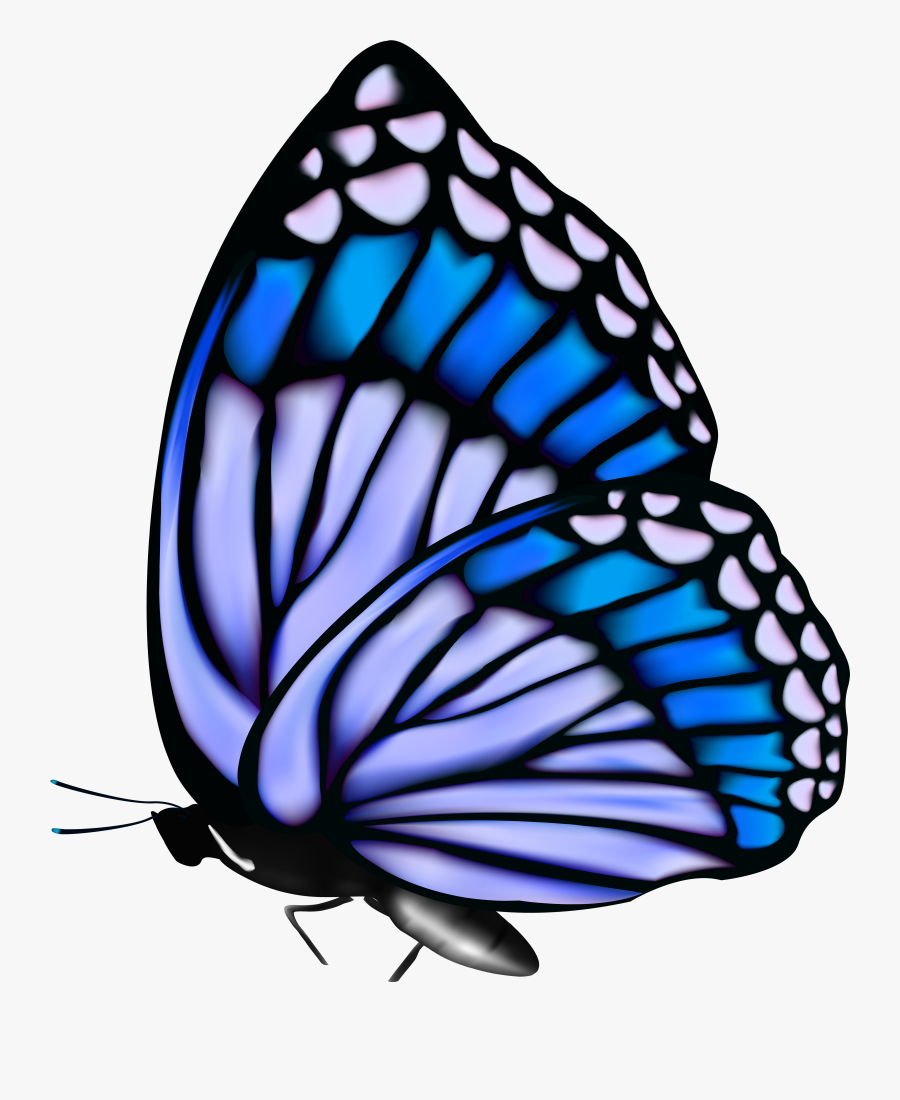 Butterflies Png Butterfly - Blue Butterfly Gif Png, Transparent Clipart