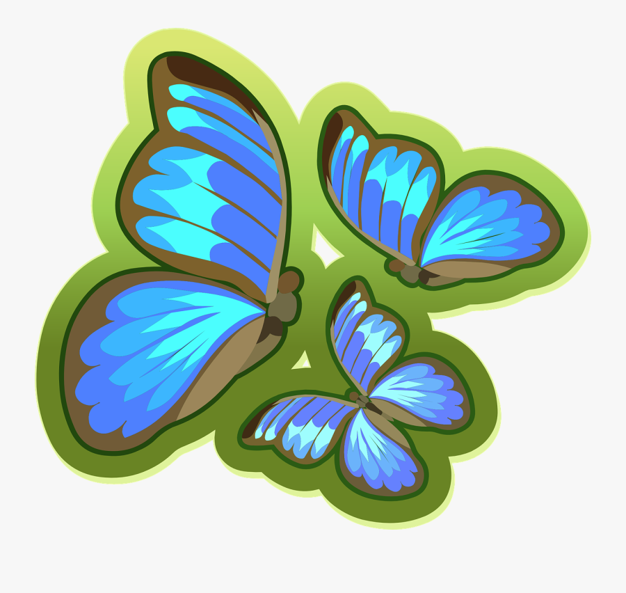 Butterfly, Transparent Clipart