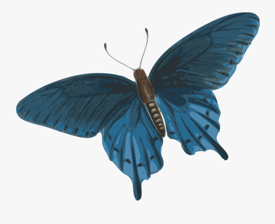 Butterfly Flying Png Gif - Dark Blue Butterfly Png, Transparent Clipart
