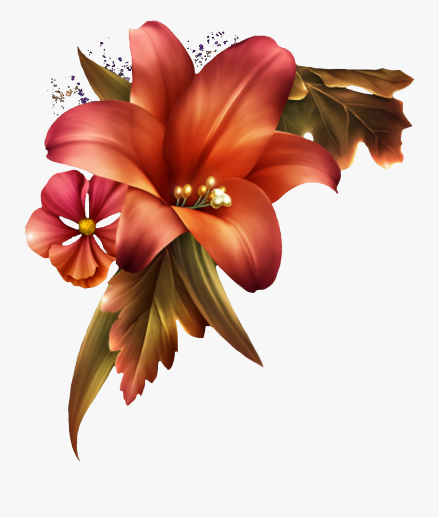 Lily, Transparent Clipart