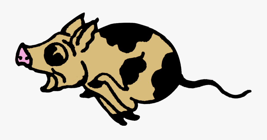 Sailor Jerry Pig, Transparent Clipart