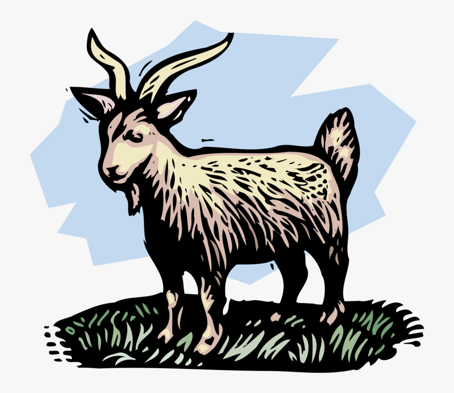 Vector Illustration Of Farm Scene Livestock Billy Goat, Transparent Clipart