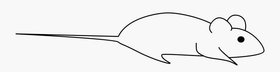 Computer Mouse Whiskers Cartoon Animal - Outline Of A Mouse, Transparent Clipart