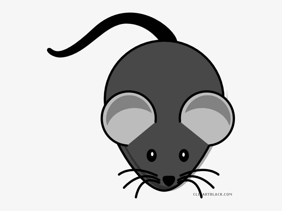 Clipart Mouse Cute Mouse - رسم فأرة للاطفال, Transparent Clipart