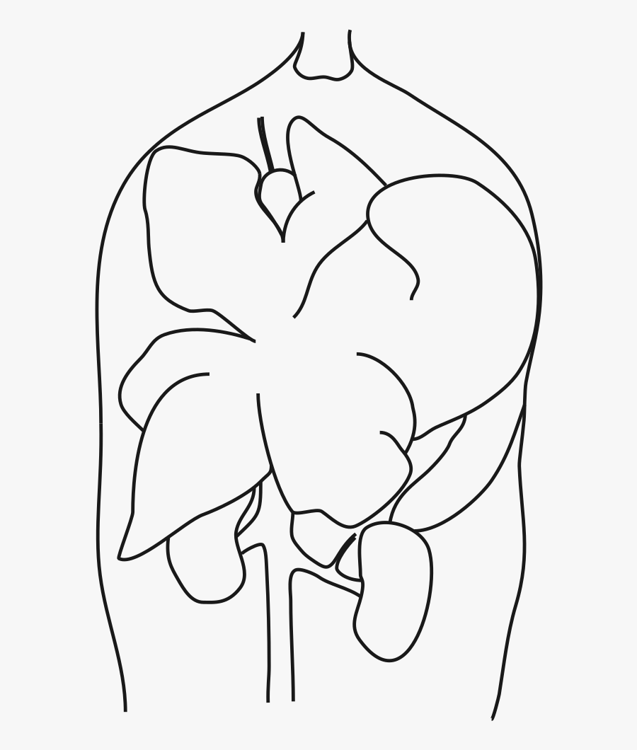 Sketch, Transparent Clipart