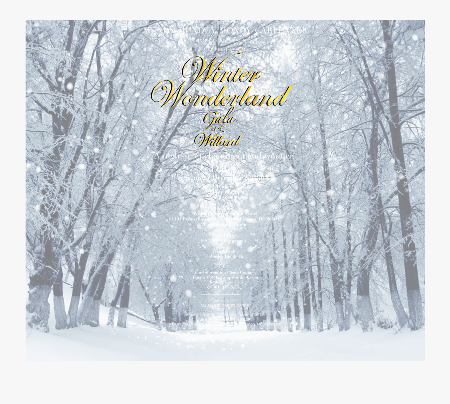 Mundy - Mundey - Mondy - Carpenter - - Quadriga Consort - Winter Wonderland Backdrop, Transparent Clipart