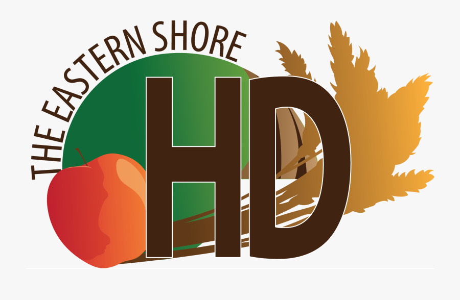 Graphic Design, Transparent Clipart