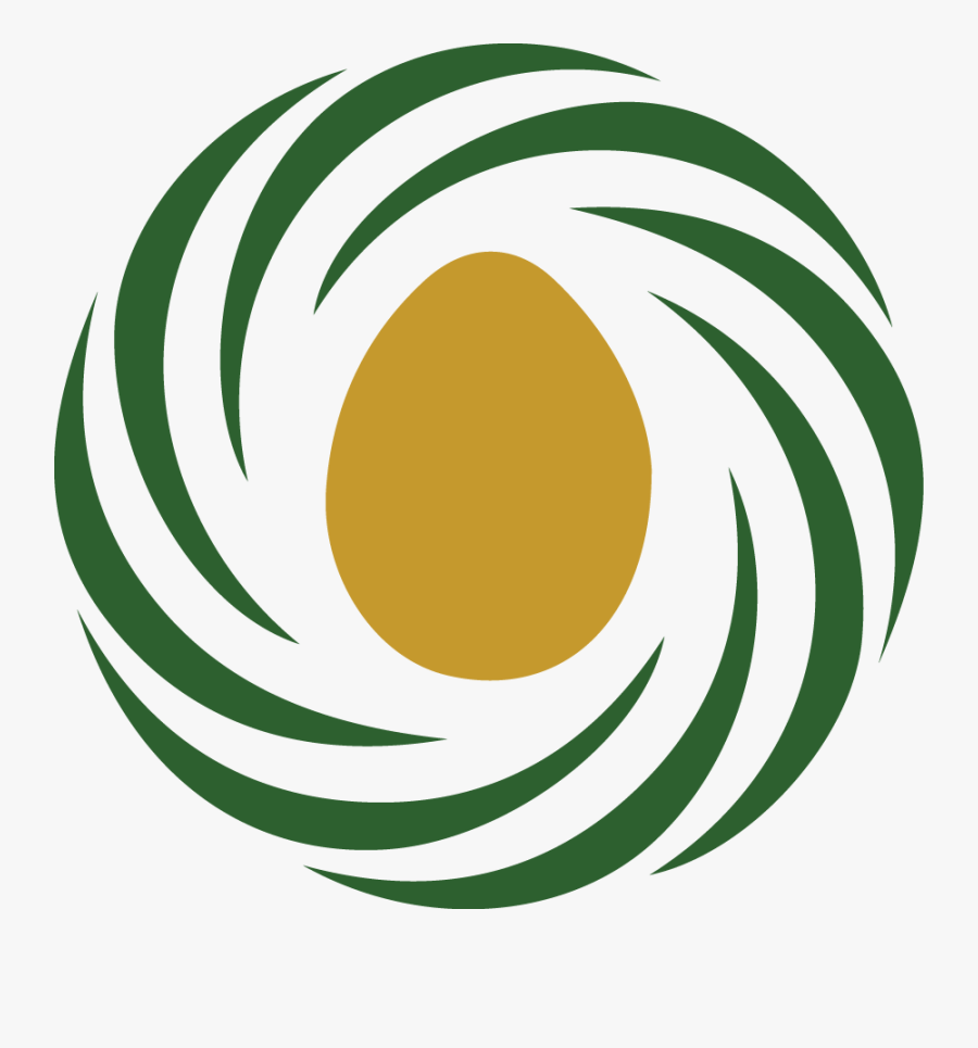 Circle, Transparent Clipart