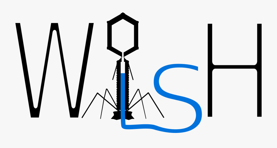 Hershey And Chase Experiment, Transparent Clipart