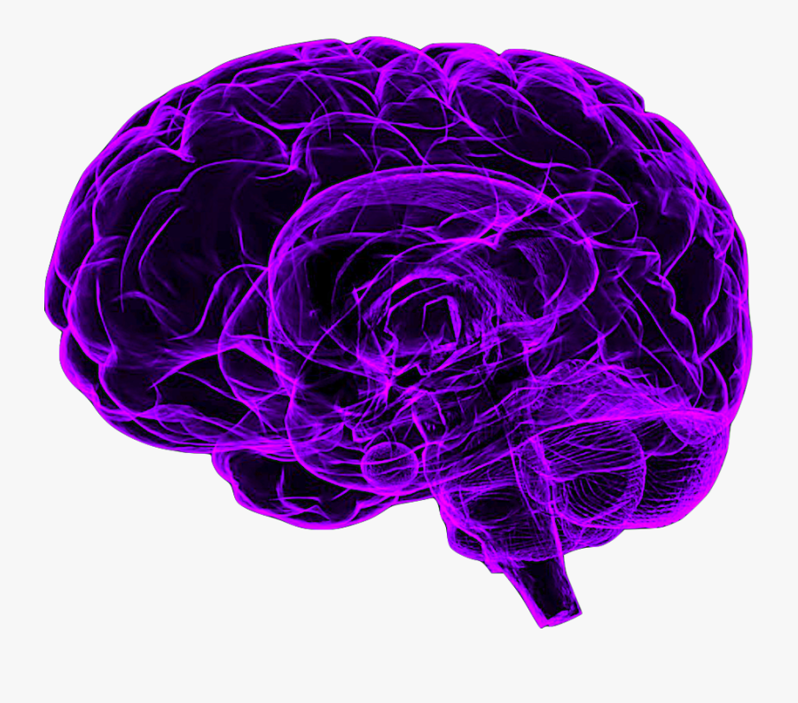 Mindfulness-meditation - Purple Neon Brain, Transparent Clipart
