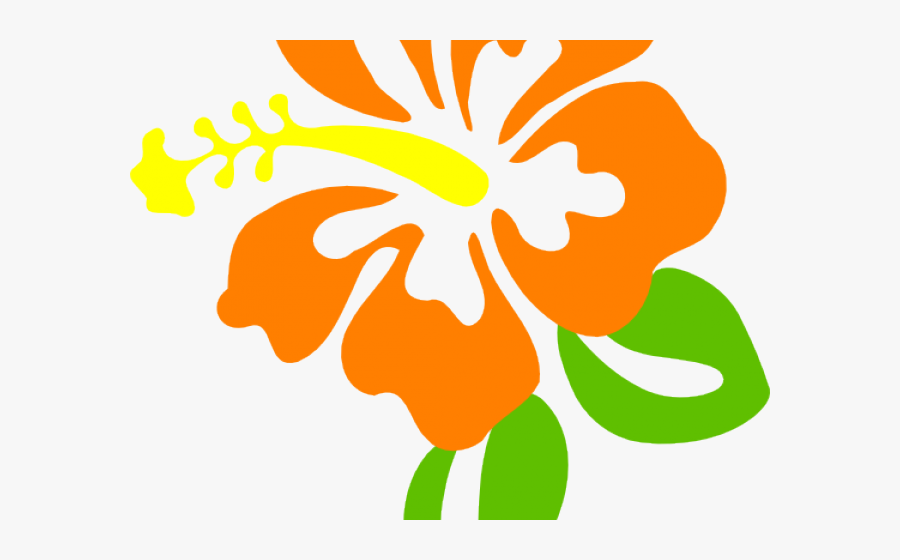 Orange Flower Clipart Summer Flower - Hibiscus Clipart, Transparent Clipart