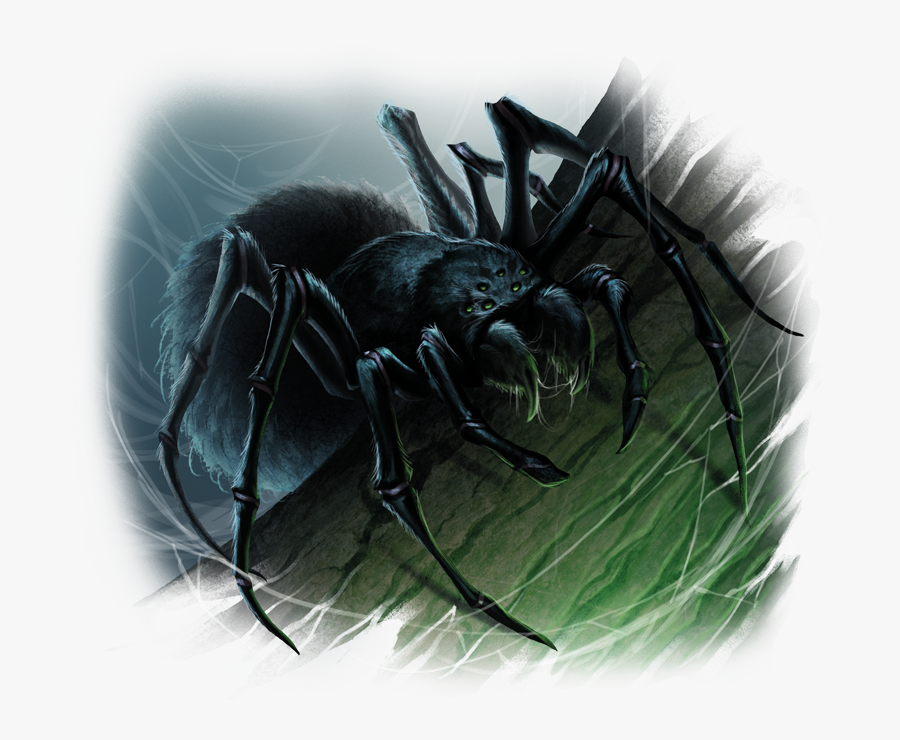 Giant Spider A Magical Creature, Giant Spiders Aren"t - Spider Creature, Transparent Clipart