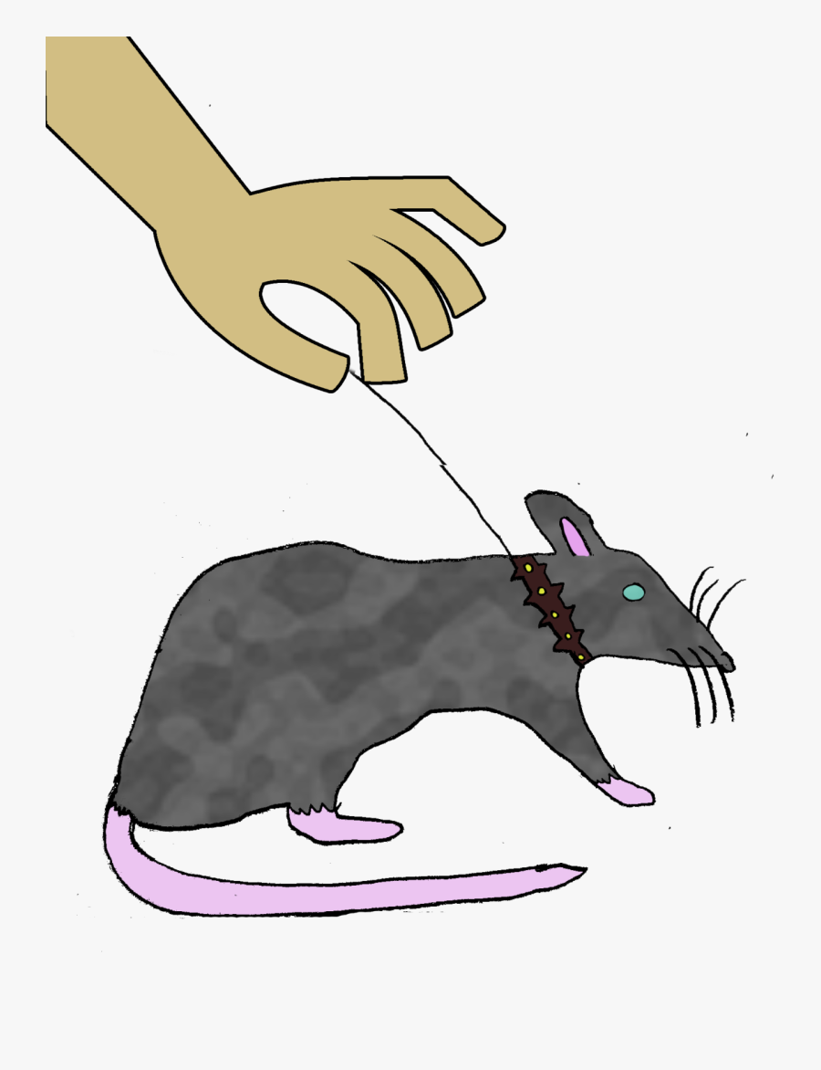 Nau"s Crabby Pet Policy"
 Class="img Responsive True, Transparent Clipart