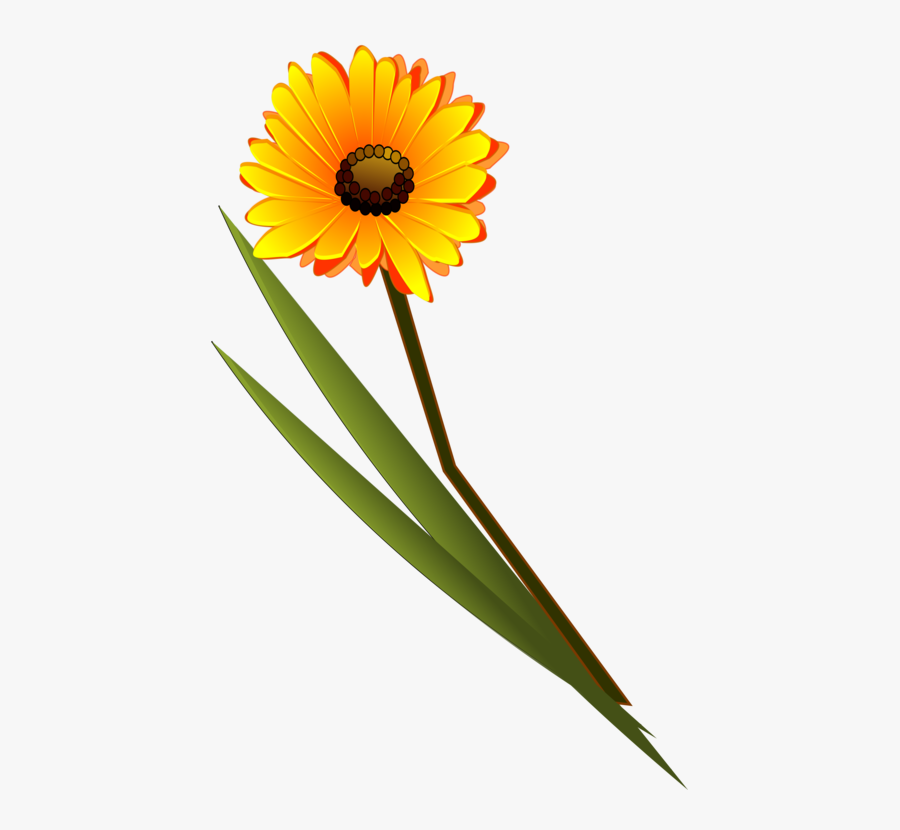 Transparent Daisy Flower Clipart - Single Flower Image For Thank You, Transparent Clipart