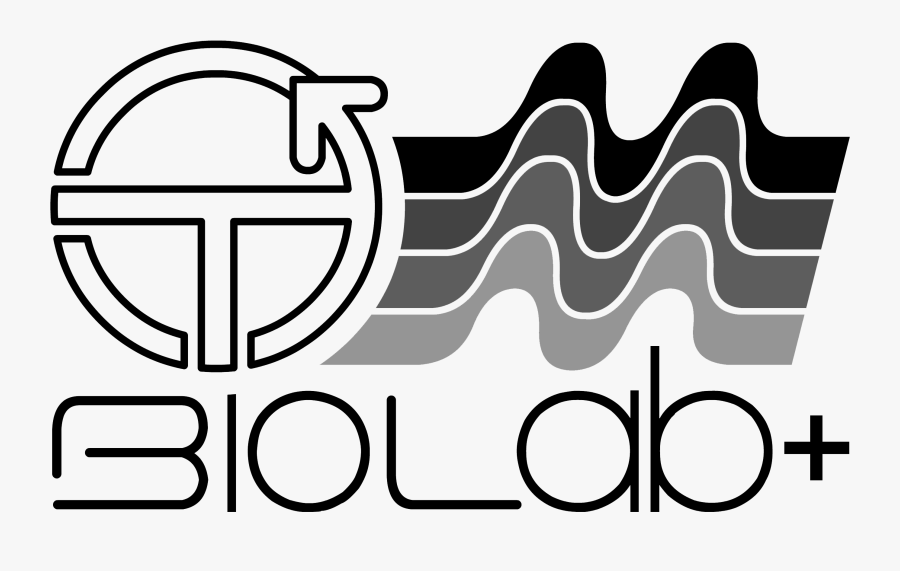 Circle, Transparent Clipart